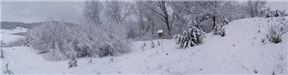 Blue Bird House in Snow