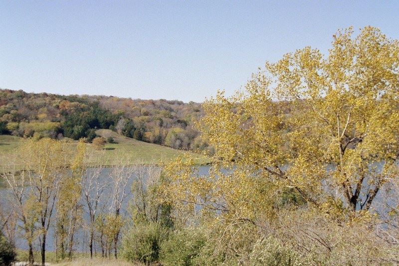 Overlook Tower at Pony Creek Park